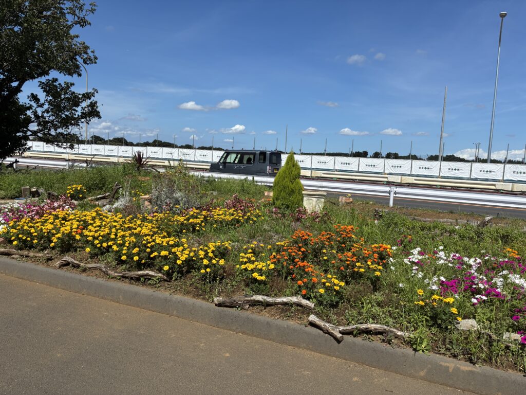 瀬谷の横浜花博会場予定地 花壇